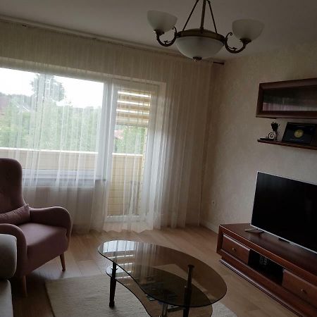 Apartamentai Gertruda Druskininkai Buitenkant foto
