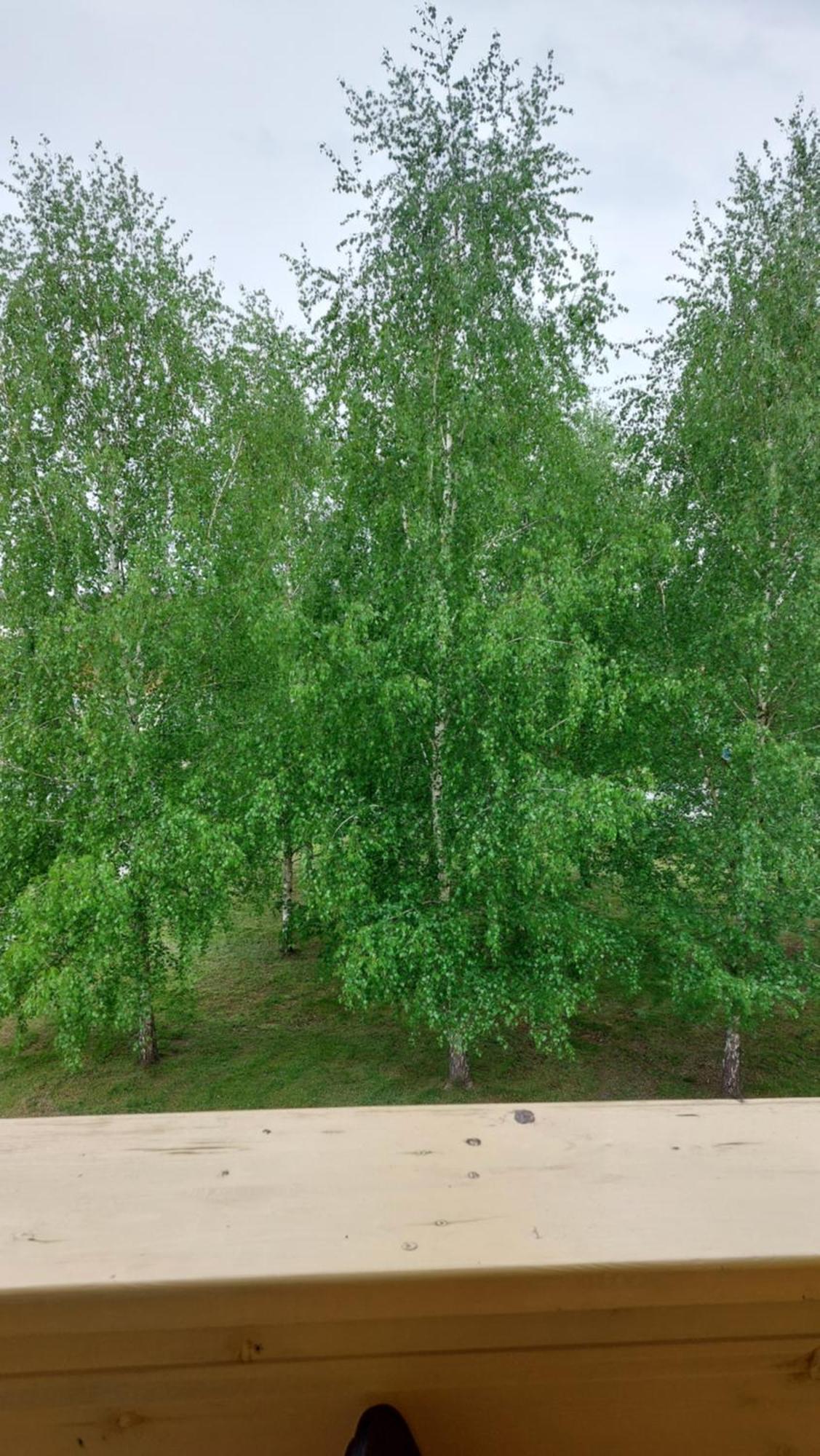 Apartamentai Gertruda Druskininkai Buitenkant foto
